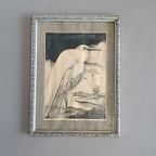 Litho Lithografie/ Lithography / Steendruk Birds / Vogels thumbnail 4
