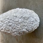 101 Copenhagen | Beehive Tall Vase, Petit - Birch thumbnail 3