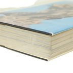 1200 Years Of Italian Sculpture Hardcover Boek Abrams 1968 thumbnail 3