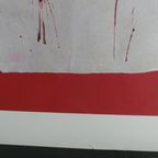 Picador thumbnail 13