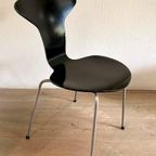 Arne Jacobsen Mosquito Chair 3105 thumbnail 3