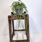 Bamboe Plantentafeltje thumbnail 3