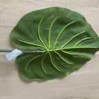 Silk-Ka Zijden Bladen Alocasia thumbnail 5