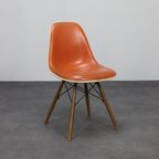 Eames Dsw Chair Fehlbaum For Herman Miller Miller, 1970S thumbnail 5