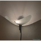 Frosted Glass Wall Lamp thumbnail 4