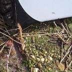 Tof Groot Xxl Emaille Bord Van Het Franse Merk Pile Wonder. thumbnail 5