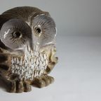 Ceramic Owl Sculpture By Elisabeth Vandeweghe, Belgium 1970S. thumbnail 12