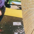 Jean Michel Basquiat In His Great Jones Street Studio thumbnail 8