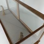 Antieke Grote Glazen Vitrinekast / Toonbank thumbnail 21