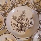 Pinewood By W.H. Grindley Co Ltd Schaaltjes Set thumbnail 6