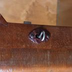 Antieke Vitrinekast Mahoniehout Engels thumbnail 9