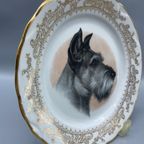 Sierbordje Porcelaine D'art Schnauzer thumbnail 7