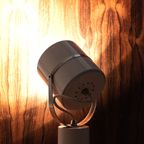 Witte Tafelspot 58188 thumbnail 4