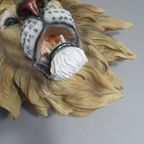 Resin / Epoxy Wall Lion Head 55 X 55 X 30 Cm Depth thumbnail 5