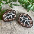 Bijzonder Paar Black Septarian Nodule Fossil, Drakensteen thumbnail 3