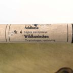 Jung Koch Quentell ‘Feldhase’ 59906 thumbnail 8