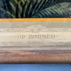 Vintage Linnen Schoolkaart – Op Borneo thumbnail 8