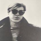Nat Finkelstein (1933-2009), ‘andy Warhol thumbnail 8