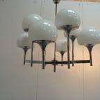 Italian Modern 8 Arm Trumpet Chandelier By Gaetano Sciolari For Boulanger, 1960S thumbnail 5