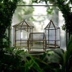 Vintage Mini Serre / Vitrine / Etagere thumbnail 5
