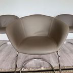 4x Arper Duna Chair Design By Lievore Altherr Molina, Ca2014 thumbnail 17