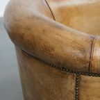 Tijdloze En Stijlvolle Schapenleren Clubfauteuil Met Prachtige Kleuren En Goed Zitcomfort thumbnail 10