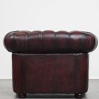 Grote Donkerrode Gevlamde Rundleren Chesterfield Clubfauteuil/ Armchair thumbnail 2