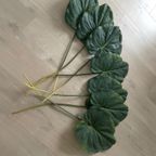 Zijden Bladeren Silk-Ka Alocasia thumbnail 5