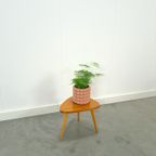 Fineer Plantentafel Nr. 18, Bijzettafel thumbnail 6