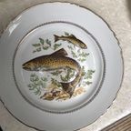 6 Vissen Borden 23 Cm thumbnail 6