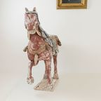 Tang Dynasty Paard thumbnail 5