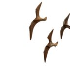 Set Van 3 Mango Houten Wandvogels Meeuwen Vintage Hout thumbnail 8