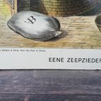 Antieke Schoolplaat 'Zeepziederij' thumbnail 4
