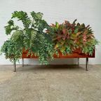 Midcentury Rechthoekige Xl Plantenbak Palissander - Chroom thumbnail 7