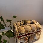 Schelpen Vintage Sieraden Doosje thumbnail 7