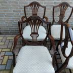 Antique George Hepplewhite Chairs Van 6 Stoelen Set thumbnail 4