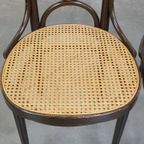 Set Van 4 Hoge Vintage Bentwood “long John” Thonet Design Stoelen thumbnail 15
