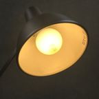 Anglepoise 75 Bureaulamp thumbnail 11