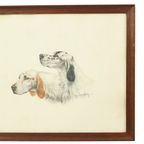 Kleuren Litho Leon Danchin Jachthond Spaniël Genummerd 150-300 thumbnail 3