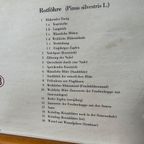 Vintage Linnen Schoolkaart ‘de Grove Den’ thumbnail 4