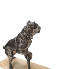 Antiek Frans Beeld Van Een Bulldog Charles Valton thumbnail 3