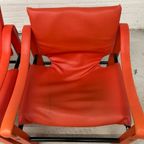 Vintage Arkana Safari Chairs / Set thumbnail 14