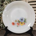 Arcopal Anemone Diner Borden thumbnail 2