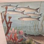 Antieke Schoolplaat Schoolkaart Noordzee Wolters thumbnail 6
