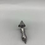 Miniatuur Teckel Zilverkleurig 4 thumbnail 6