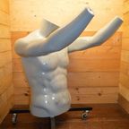 Design Torso Van Kunststof Op Wieltjes thumbnail 2