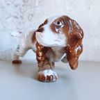 Cocker Spaniel Honden Beeld – Italië 1950/1960 – Mattie thumbnail 4