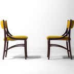 Vintage Set Van 5 Italiaanse Eetkamerstoelen Van Ico Parisi, 1960 thumbnail 6