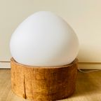 Organische Lamp thumbnail 2