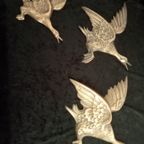 3 Prachtige Messing Vogels / Eenden Voor Buitenmuur thumbnail 8